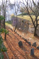 /album/fotogalerie-mikulov1/zidovsky-hrbitov-2-jpg/